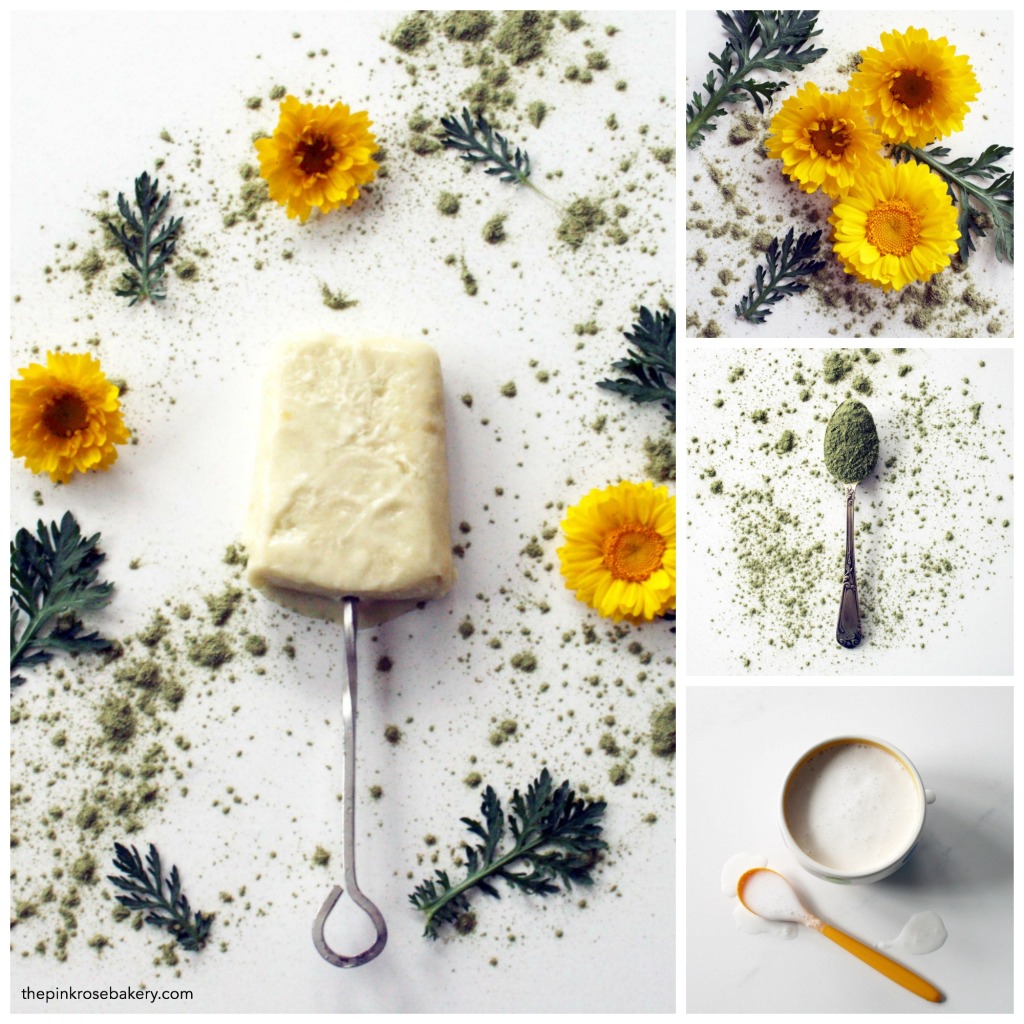 Homemade Green Mango & Coconut Ice Lollies {gluten free, dairy free} | The Pink Rose Bakery